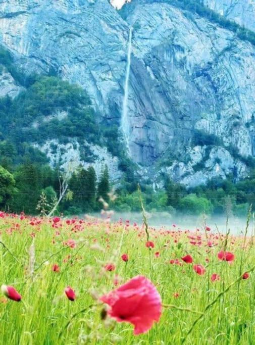 Апартаменты Les Loges De L'Arpenaz Маглан Экстерьер фото